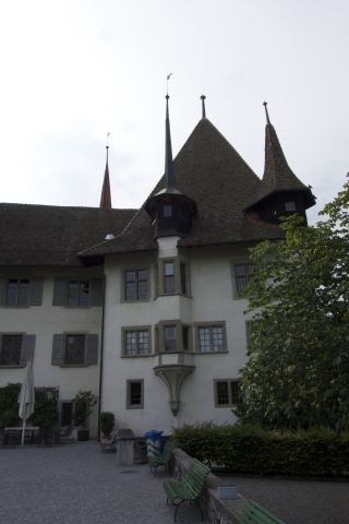 DSC00772.jpg