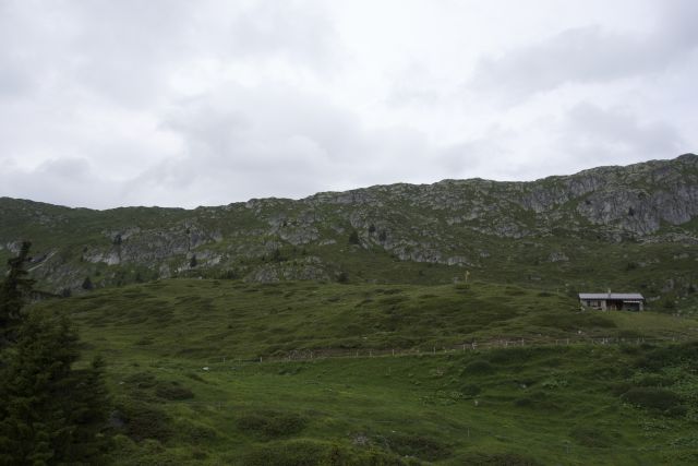 DSC00684.jpg