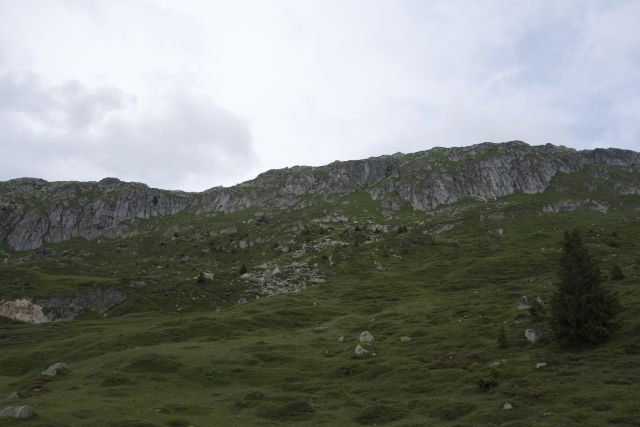 DSC00685.jpg