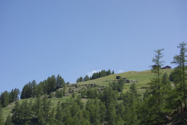 DSC00298.jpg