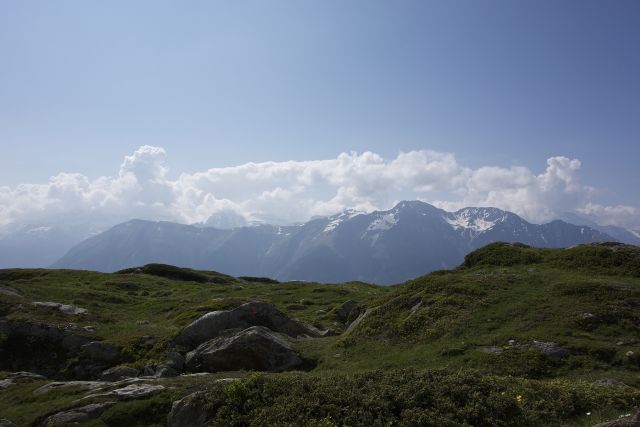 DSC00884.jpg