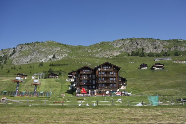 DSC00838.jpg