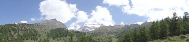 DSC00362.jpg