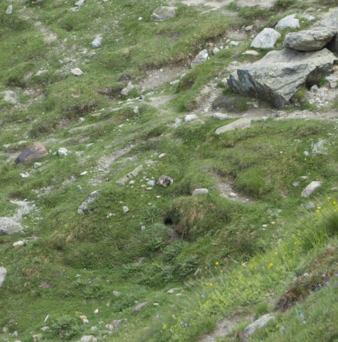 DSC00583 - Версия 2.jpg