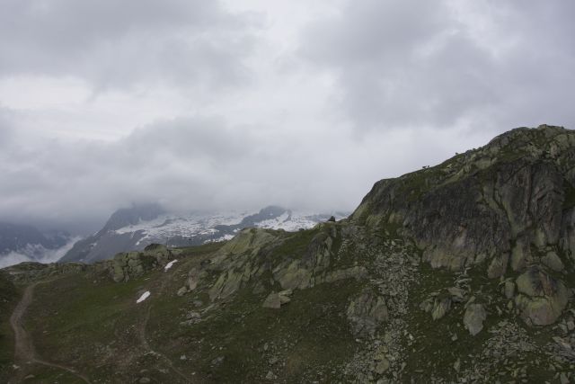 DSC00689.jpg