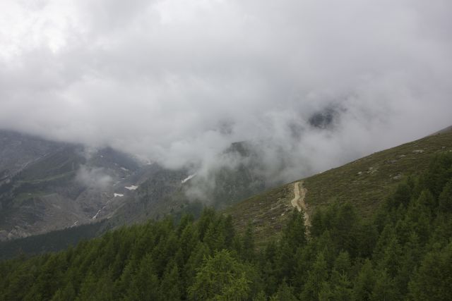 DSC00403.jpg