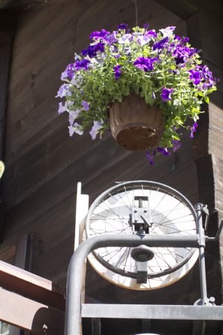 DSC00263.jpg