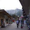 DSC00593.jpg