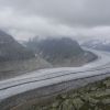 DSC00708.jpg