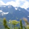 DSC00183.jpg