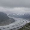 DSC00707.jpg