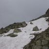 DSC00696.jpg