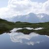 DSC00941.jpg