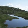 DSC00940.jpg
