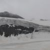 DSC00445.jpg