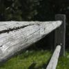 DSC00227