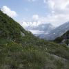 DSC00888.jpg