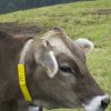 DSC00664.jpg
