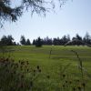 DSC00803.jpg
