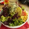 DSC00465.jpg