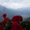DSC00734.jpg