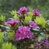 DSC00320.jpg