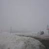 DSC00454.jpg