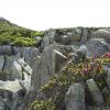 DSC00910.jpg