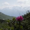 DSC00898.jpg