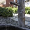 DSC00153.jpg