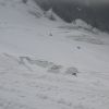 DSC00546.jpg