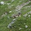 DSC00582.jpg