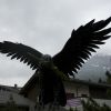DSC00426.jpg