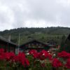 DSC00650.jpg