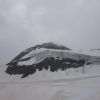 DSC00442.jpg