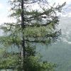 DSC00305.jpg