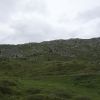 DSC00684.jpg