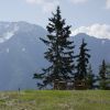 DSC00840.jpg
