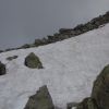 DSC00724.jpg