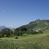 DSC00807.jpg