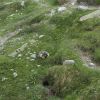 DSC00583.jpg