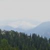 DSC00729.jpg
