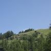 DSC00298.jpg