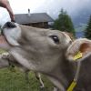 DSC00669 - Версия 2.jpg