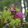 DSC00321.jpg
