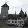 DSC00764.jpg
