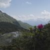 DSC00897.jpg