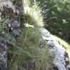DSC00275.jpg