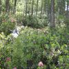 DSC00323.jpg