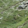 DSC00583 - Версия 2.jpg